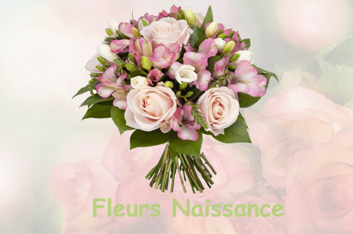 fleurs naissance MESNARD-LA-BAROTIERE