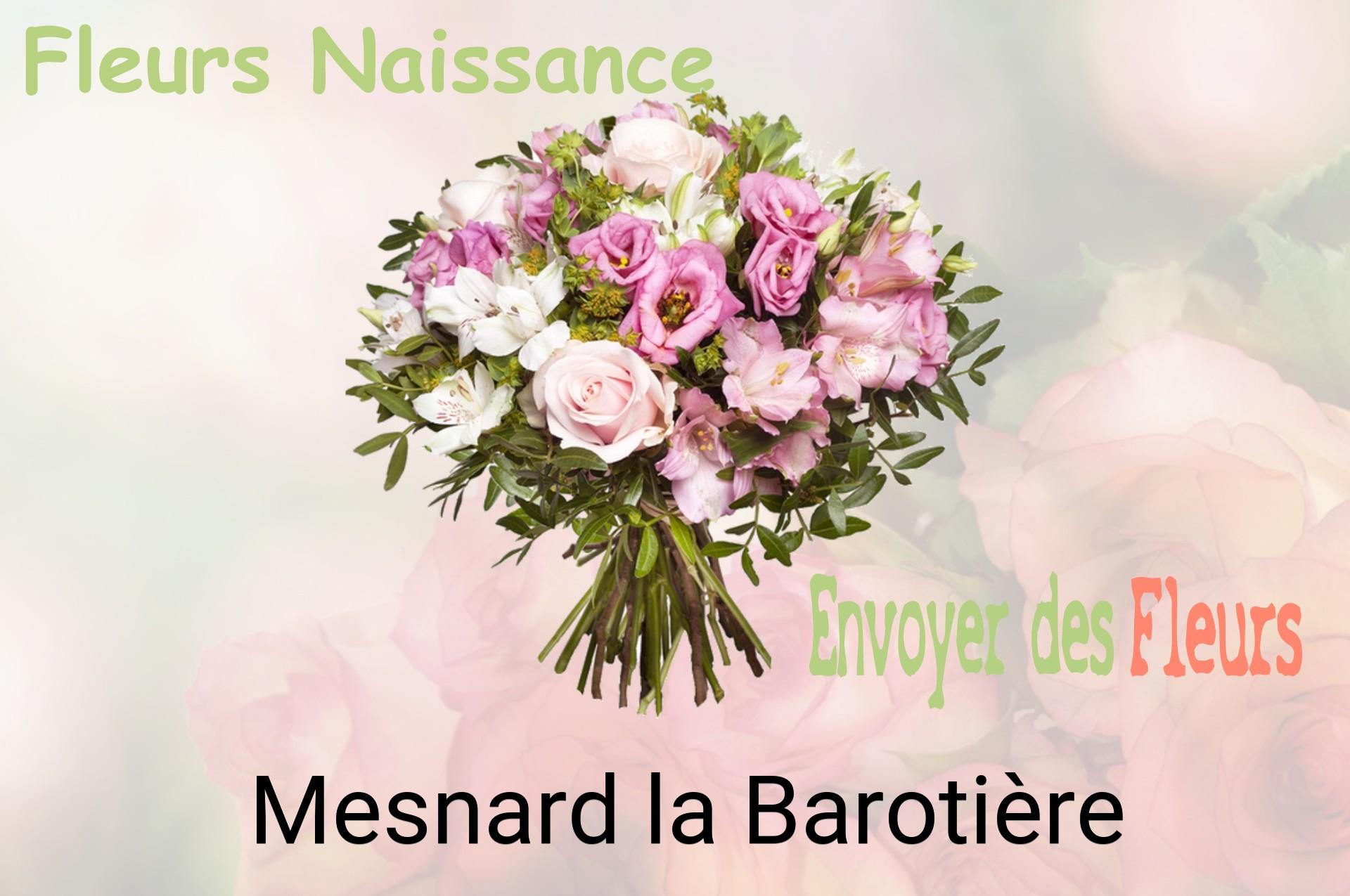 Bouquet de fleurs de naissance livré à Mesnard-la-Barotière