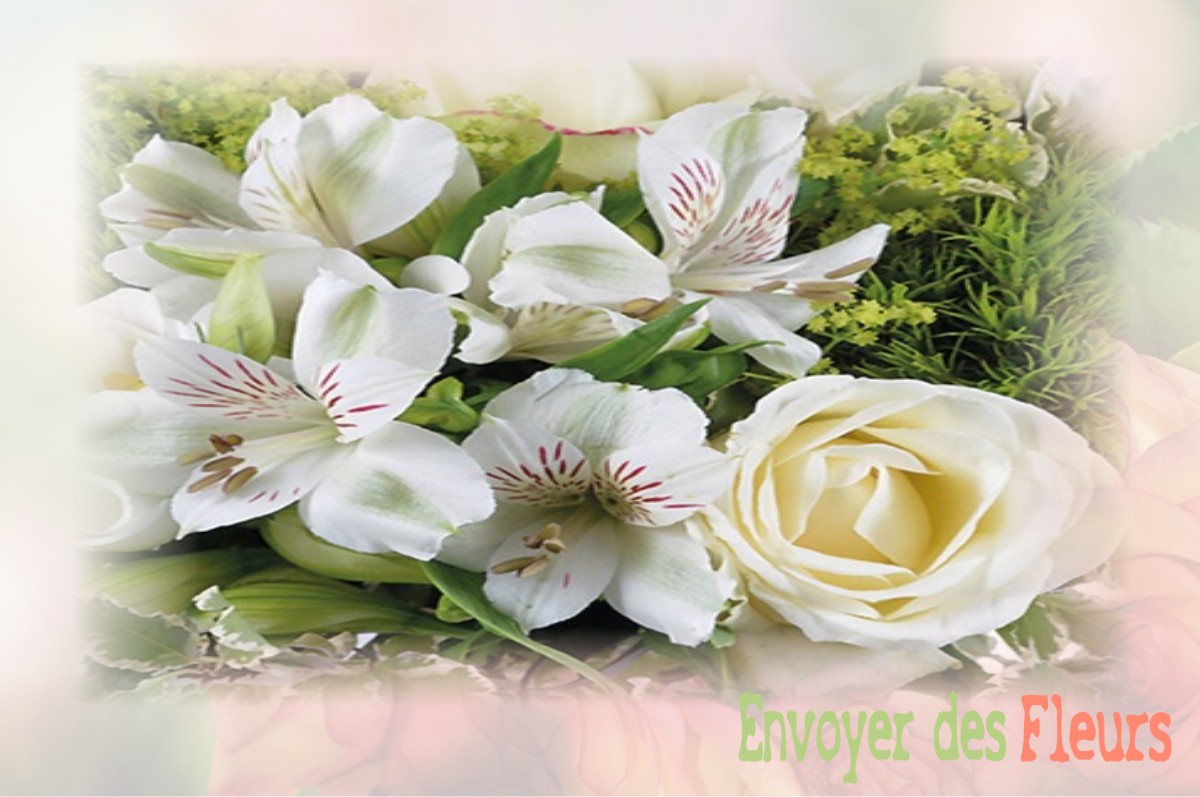 envoyer des fleurs à à MESNARD-LA-BAROTIERE